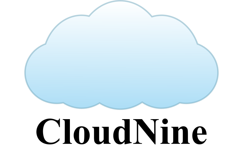 CloudNine Broadcast Video Server